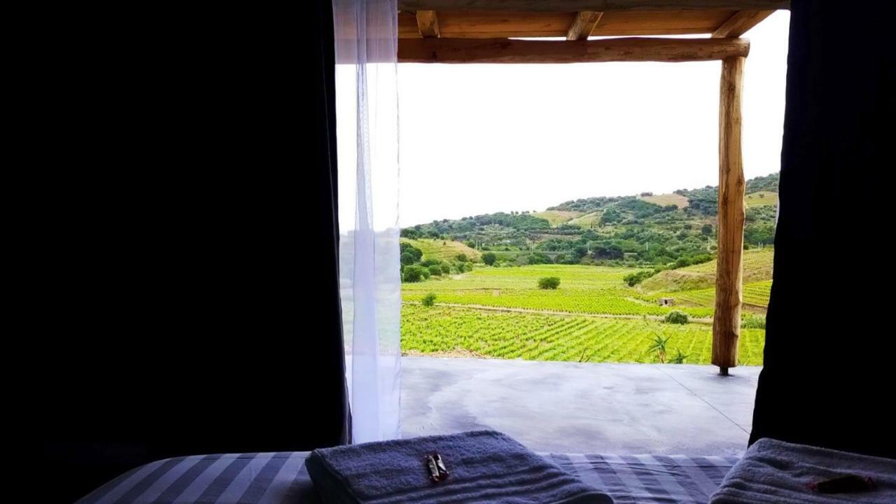 Les Cabanons De Meme Jeannette Bed & Breakfast Port Vendres Exterior foto